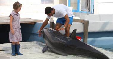 Criză de instructori la Delfinariu. "Nu este o meserie pentru oricine!" - 3
