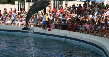 Delfinariul din Constanța va fi extins