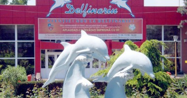 Stire din Cultură-Educație : Delfinariul scade tarifele pentru vizitatori