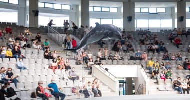 Delfinariul Constanţa, închis până pe 2 aprilie