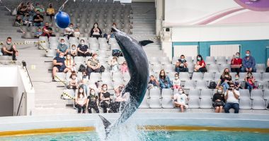 Delfinariul și Acvariul vor fi extinse, Planetariul rămâne închis - 2