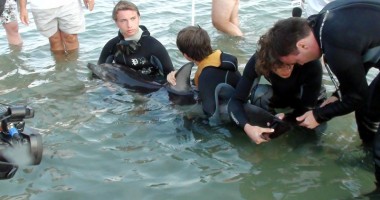 Statul nu alocă niciun leu pentru protecția și salvarea delfinilor din Marea Neagră - 6