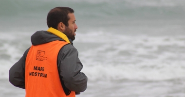 Delfini eșuați la Marea Neagră. Au murit din cauza plaselor pescarilor - 3