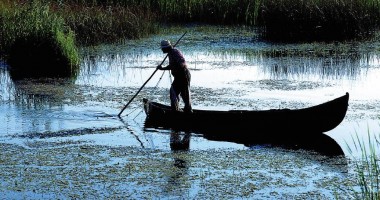 Stire din Economie : Program operațional multi - fond pentru salvarea Deltei Dunării