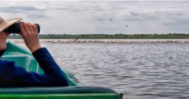 Turismul de observare a păsărilor în Delta Dunării, creștere spectaculoasă în ultimii ani