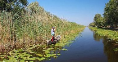 Stire din Social : Creștere spectaculoasă a numărului permiselor de pescuit sportiv în Deltă