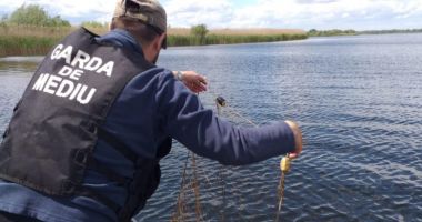 Stire din Actualitate : Plasele ilegale confiscate de comisari în Delta Dunării pot înconjura 37 de terenuri de fotbal