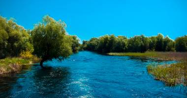 Stire din Cultură-Educație : Biodiversitatea Deltei Dunării, prezentată la Săptămâna culturilor străine