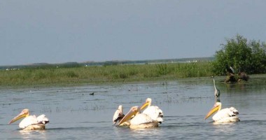 Stire din Diverse : Turistului îi stă bine  cu drumul. Iată ce puteți face în Delta Dunării