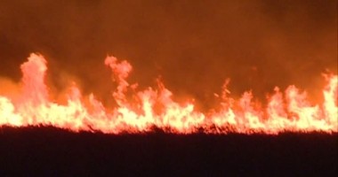 Stire din Eveniment : VIDEO / Incendiu devastator în Rezervația Deltei Dunării