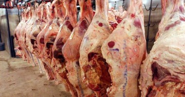 Stire din Economie : Prețul cărnii nu se va modifica cu mai mult de 2-3 la sută în perioada următoare
