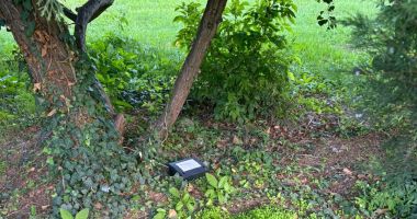 Stire din Social : Acțiunile de deratizare, reluate în municipiul Constanța și stațiunea Mamaia