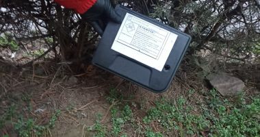 Stire din Social : Atenție! Încep acțiunile de deratizare în municipiul Constanța