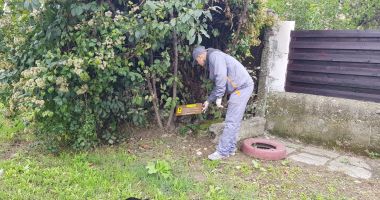 Stire din Eveniment : Acțiuni de deratizare, la Constanța. Apel de la Primăria Constanța
