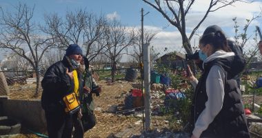 GALERIE FOTO / VIDEO. Descindere la un adăpost de câini din judeţul Constanţa. Animale, găsite în stare gravă - 2