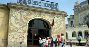 Descoperă lumea acvatică vizitând Acvariul din Constanța