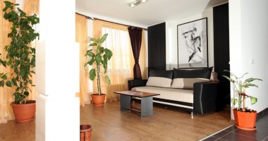 Stire din Diverse : Plante de apartament, nepretențioase