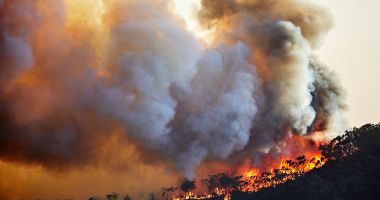 Stire din Actualitate : Schimbările climatice, „ingredientul” care a amplificat dezastrele naturale din 2024. A fost cel mai călduros an