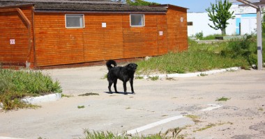 DEZASTRUL DIN SUDUL LITORALULUI / Jupiter, între neglijența autorităților locale și investițiile agenților economici - 10