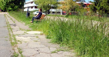 DEZASTRUL DIN SUDUL LITORALULUI / Jupiter, între neglijența autorităților locale și investițiile agenților economici - 5