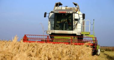 Stire din Economie : "De zece ani, statul n-a mai dat un leu, nici măcar de o hârtie igienică!"