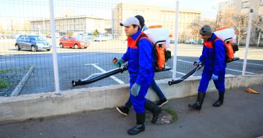 Stire din Social : Dezinfectare cu substanțe pe bază de clor, la platformele de gunoi din oraș
