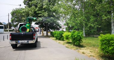 Stire din Social : Acțiunile de dezinsecție continuă în toate zonele Constanței
