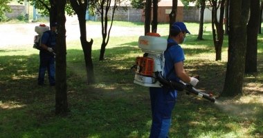 Primăria Medgidia dă startul dezinsecției de primăvară