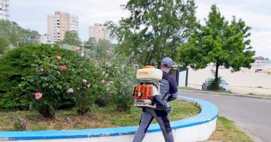 Primăria Municipiului Constanța continuă acțiunile de dezinsecție în spațiile verzi dintre blocuri - 2