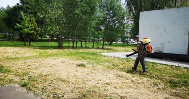 Stire din Social : Primăria Medgidia va executa servicii de dezinsecţie. Apicultorii sunt avertizaţi să ia măsuri