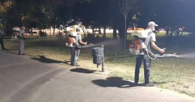 Dezinsecţie săptămânală în cartierele Constanţei