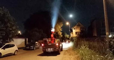 Dezinsecție în Constanța și Mamaia. Municipalitatea intervine împotriva insectelor