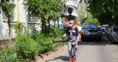 Stire din Social : Acțiunile de dezinsecție continuă și în această săptămână