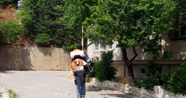 Primăria Municipiului Constanța continuă acțiunile de dezinsecție în spațiile verzi dintre blocuri - 3