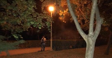 Primăria Constanța anunță zonele unde se vor efectua acțiuni de dezinsecție - 3