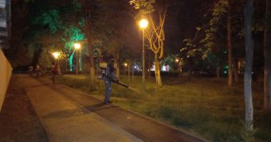 Anunț important de la administrația locală privind dezinsecţia în Constanţa - 2