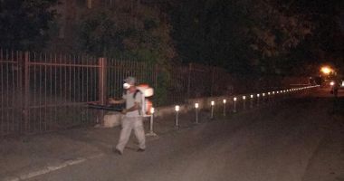 Constanța continuă lupta cu insectele!