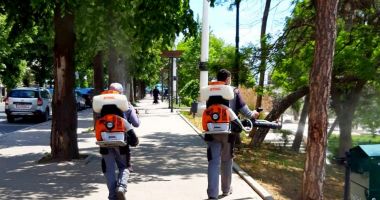 Primăria Municipiului Constanța continuă acțiunile de dezinsecție în spațiile verzi dintre blocuri - 6