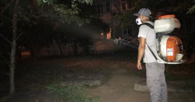 Stire din Social : Dezinsecție în spațiile verzi din Constanța