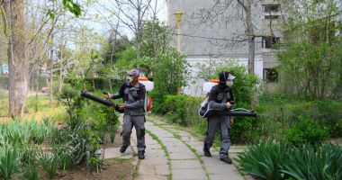 Stire din Social : Acțiunile de dezinsecție au fost reluate în spațiile verzi din Constanța
