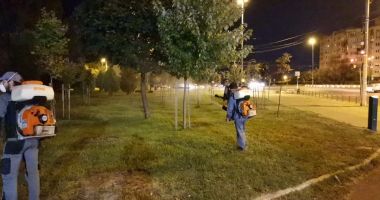 Stire din Social : Dezinsecţie săptămânală în cartierele constănţene