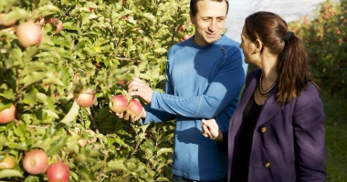 Stire din Diverse : Dieta Anei Aslan, femeia care a descoperit elixirul tinereții