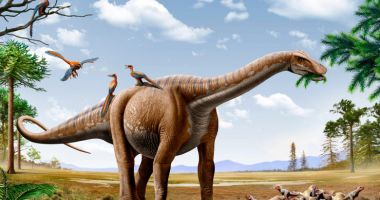 Stire din Actualitate : Una dintre cele mai vechi și importante întrebări privind dinozaurii ar putea avea acum un răspuns