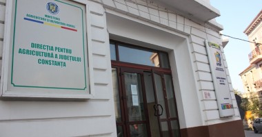 Stire din Economie : Direcția Agricolă Constanța primește și în week-end cereri pentru suta de lei la hectar