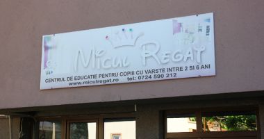Directoarea și educatoarele Grădiniței "Micul Regat", condamnate definitiv - 3