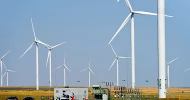 Stire din Economie : Val de distrugeri la parcurile eoliene din Constanța. Investitorii solicită intervenția autorităților