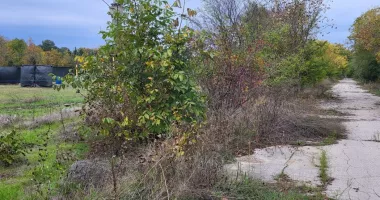 Salvați bazele sportive „Badea Cârțan“ și „Triunghi“! „Totul legal, nu vreau să dau cu subsemnatul la DNA“ - 2