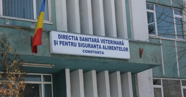 Stire din Eveniment : DNA / Consilier în cadrul DSVSA Constanța, trimis în judecată
