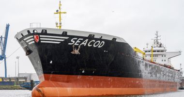 Stire din Economie : Docherii britanici refuză să descarce petrolul rusesc de pe o navă germană