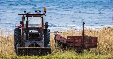 Stire din Eveniment : Doi bărbați au fost depistați conducând un tractor, băuți și fără permis